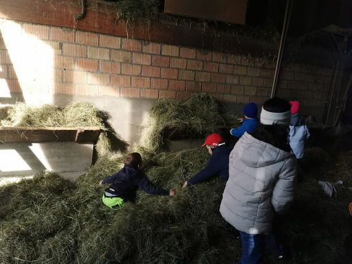Besuch auf dem Bauernhof - Familie Rutz