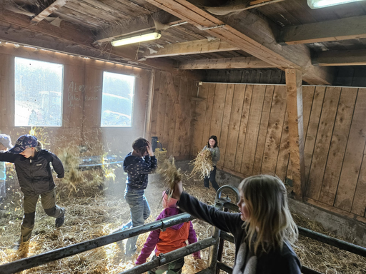 Ranch-Nachmittag bei Familie Räbsamen