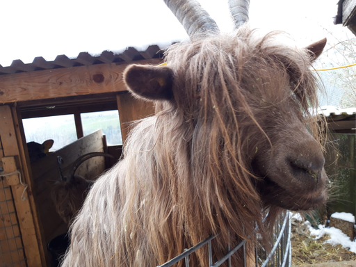 Besuch auf dem Bauernhof