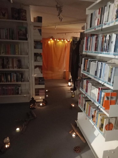 Abenteuer in der Bibliothek