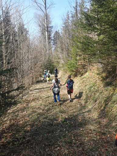 Mit dem Jäger durch den Wald