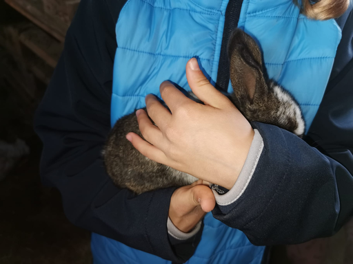 Besuch auf dem Bauernhof