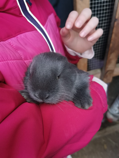 Besuch auf dem Bauernhof