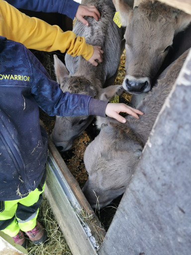 Besuch auf dem Bauernhof - Familie Rutz