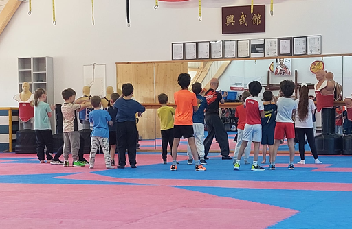 Kung Fu / Wushu