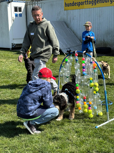 Spiel und Spass mit dem Hund