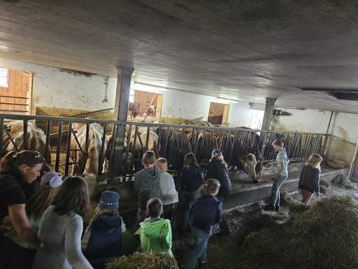 Ranch-Nachmittag bei Familie Räbsamen