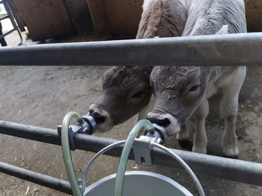 Besuch auf dem Bauernhof