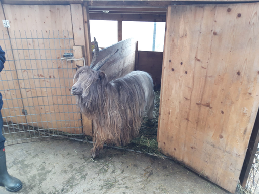 Besuch auf dem Bauernhof