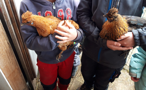 Besuch auf dem Bauernhof