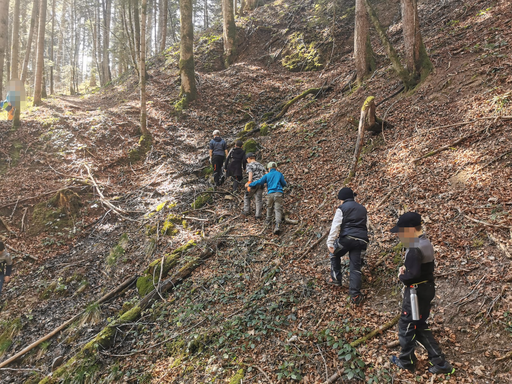 Mit dem Jäger durch den Wald