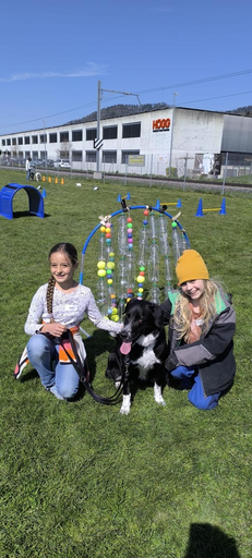 Spiel und Spass mit dem Hund 
