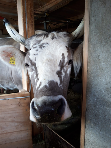 Besuch auf dem Bauernhof