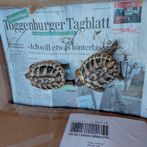 Erlebniswelt Bauernhof